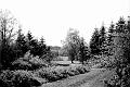 Veskirahva aed, suvi 1958.